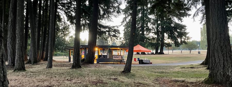 Little Backyard Adventure