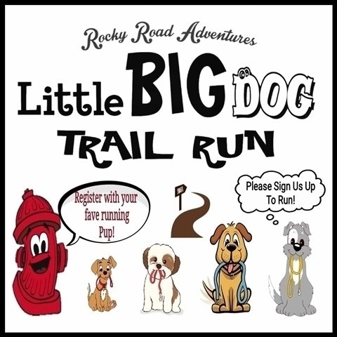Little BIG Dog Trail Run Logo