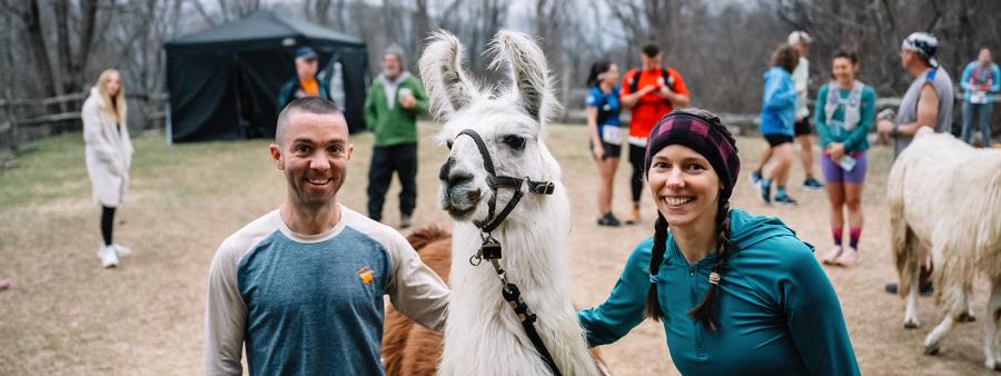 Llama - The Byrd Escape