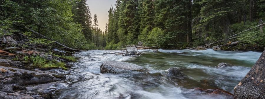 Lostine River Run/Walk