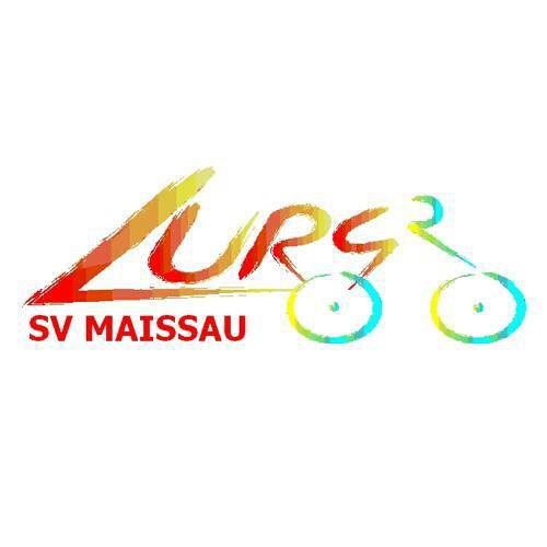 Maissauer Amethystlauf Logo