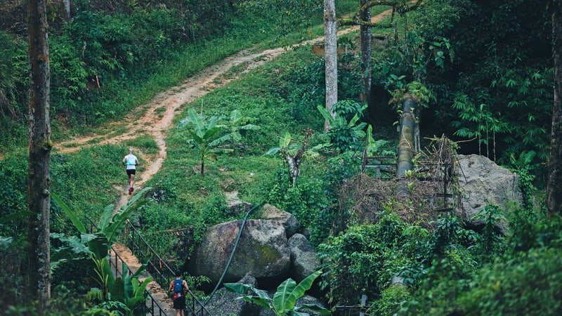 Malaysia Ultra-Trail by UTMB - MY100 Logo