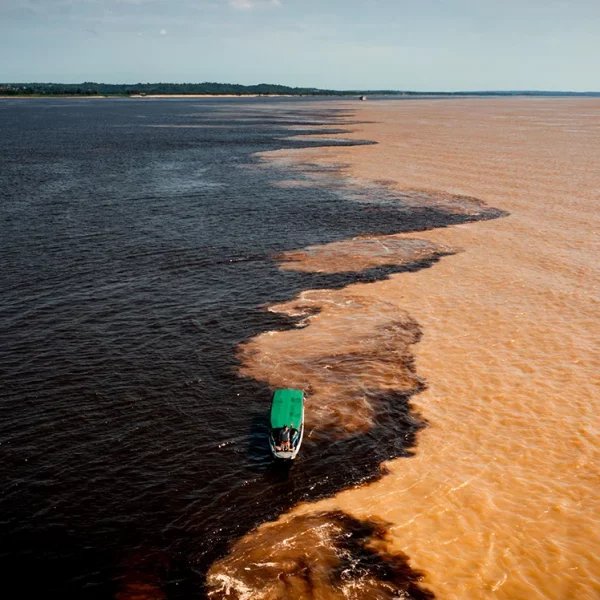 Manaus Marathon Logo