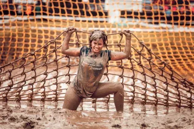 Maruti Suzuki Arena Devils Circuit Kochi Logo