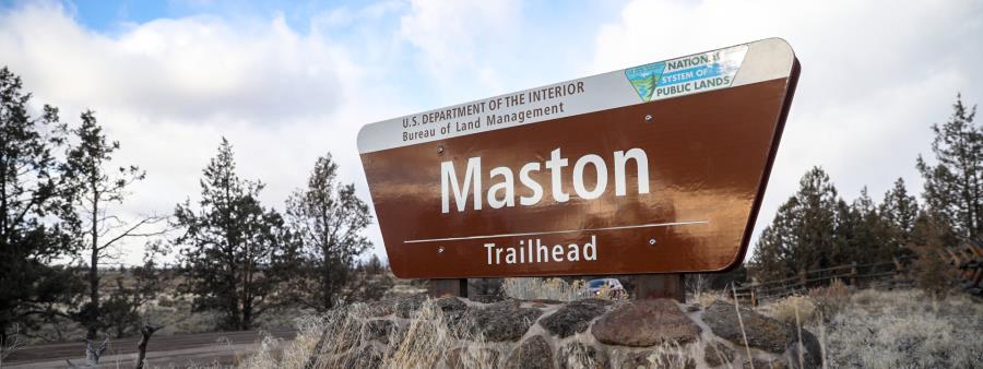 Mastondon 10ish Miler Logo