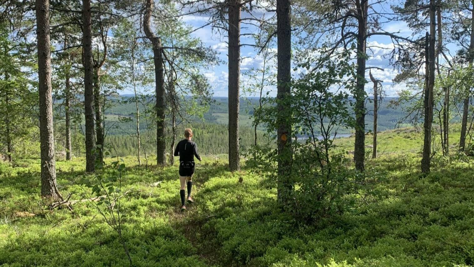 Mattila Trail Run 2026 Logo