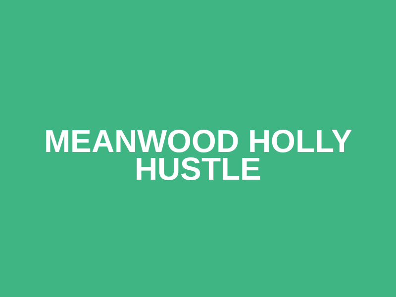 Meanwood Holly Hustle Logo