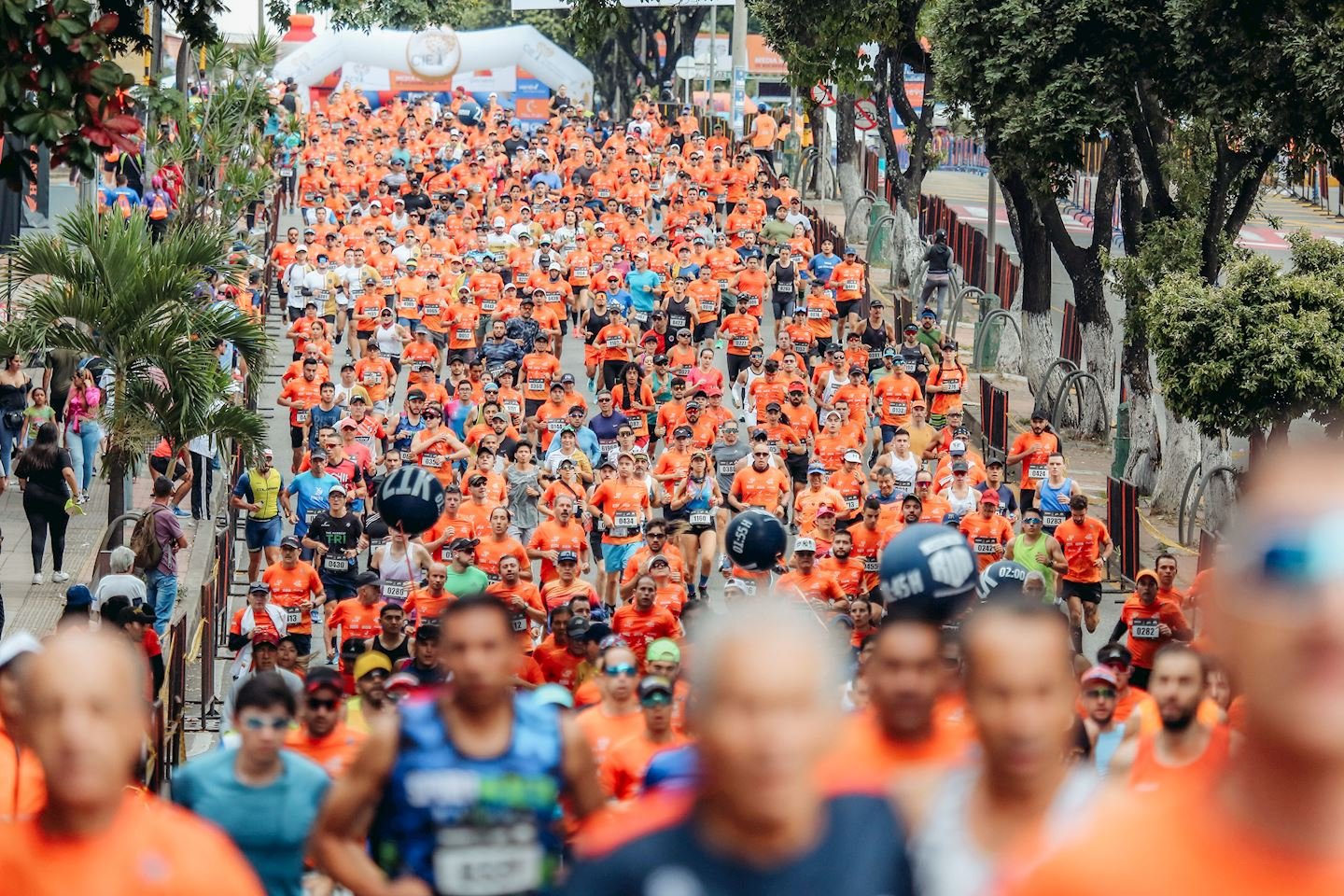 Media Maratón de Bucaramanga - FCV
