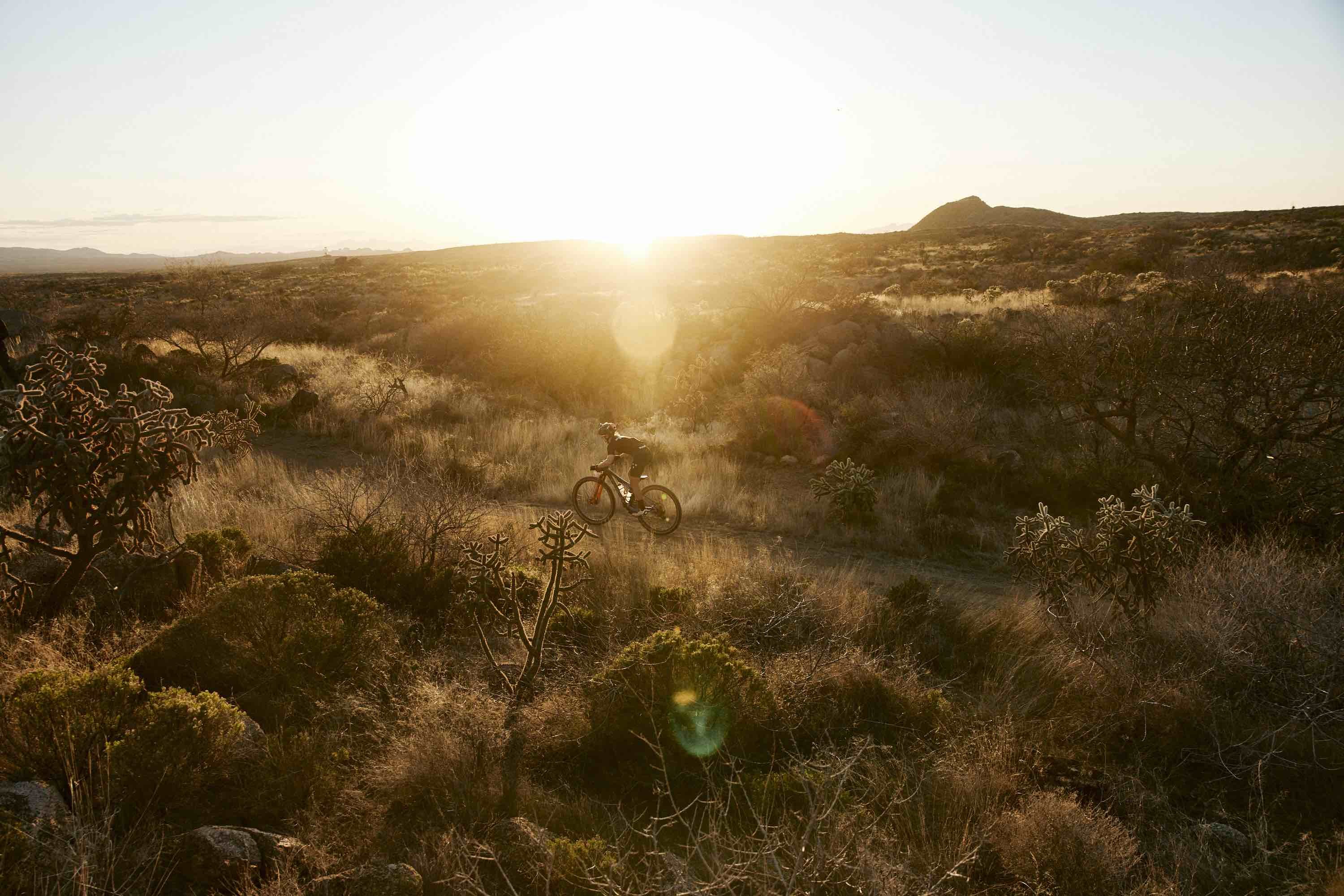 Midweek Miles: Trail Edition