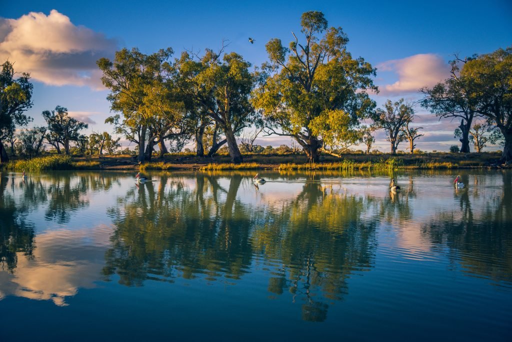 Mildura Riverfront Marathon