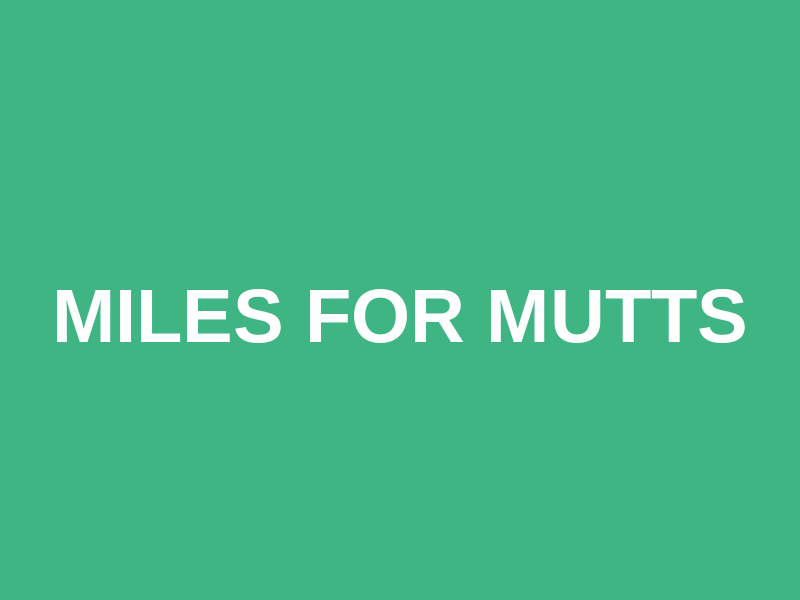 Miles for Mutts