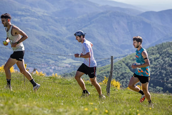 Molló Trail Logo
