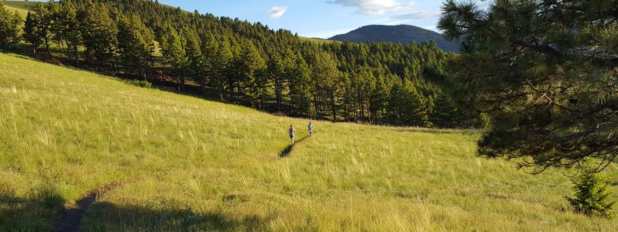Moonlight on Mt Ascension Trail Run