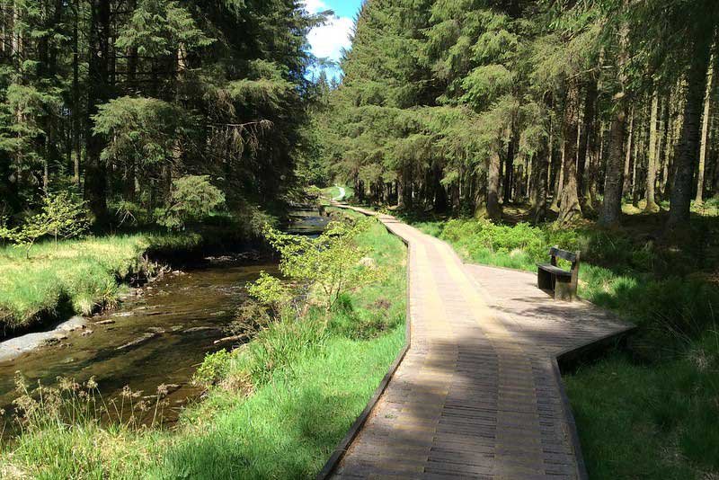 MTC (Mount To Coast) Severn Challenge Logo