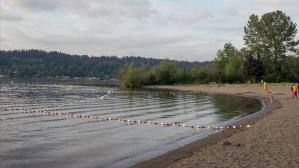 Mudskipper US Sammamish Open Water Swim - Seattle Logo