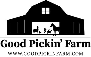 Muffins for Moms: Mother's Day 5K Run/Walk Logo