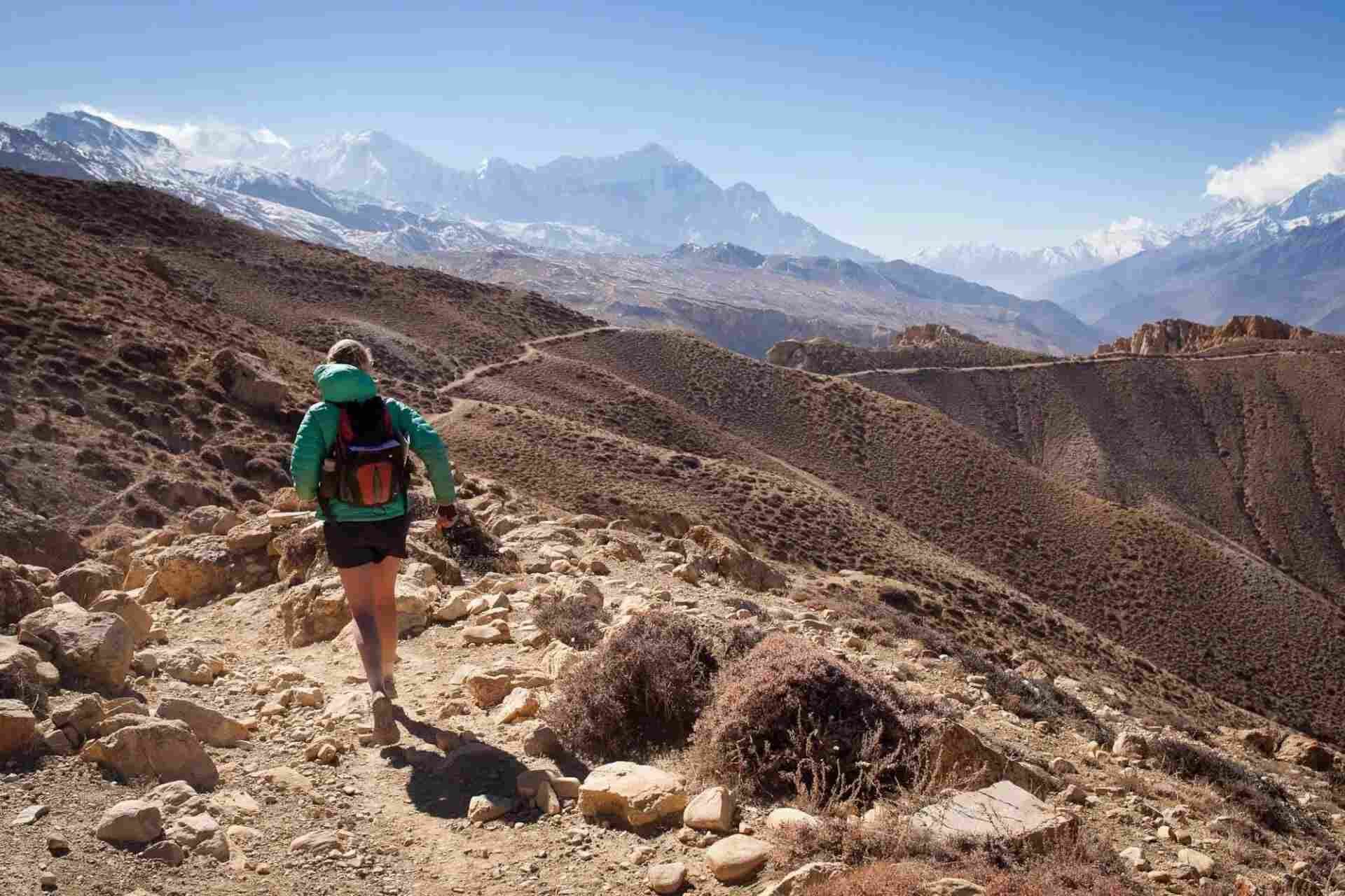 Mustang Trail Race Logo