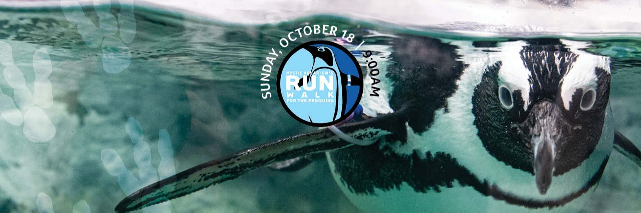 Mystic Aquarium's Run Walk for Penguins