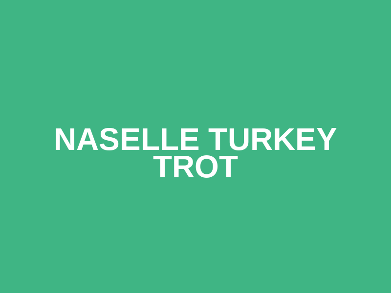 Naselle Turkey Trot