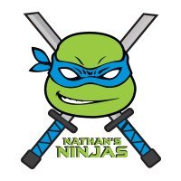 Nathan's Ninjas Family Fun Run 2026 Logo