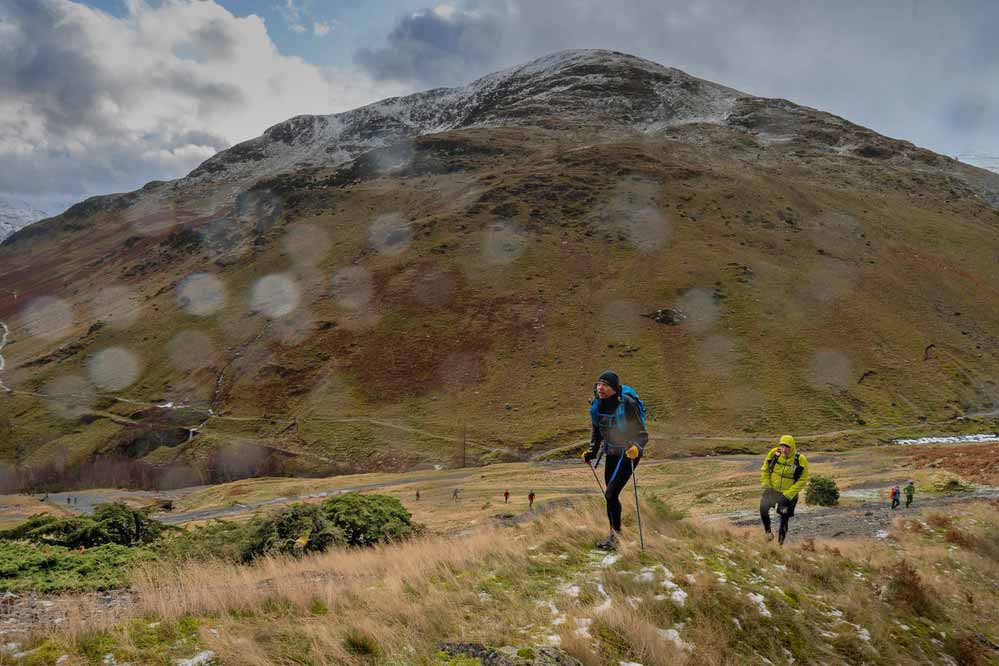 NAV4 Daffodil Run and Walk Logo