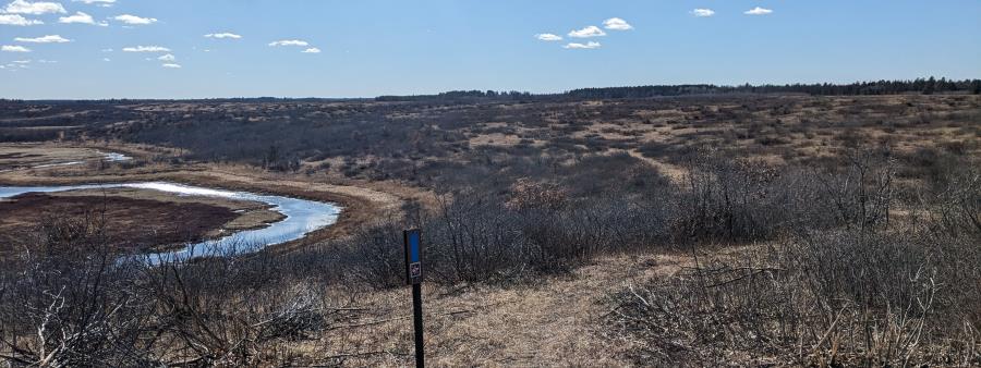 NCTRaces: Bird Sanctuary Logo