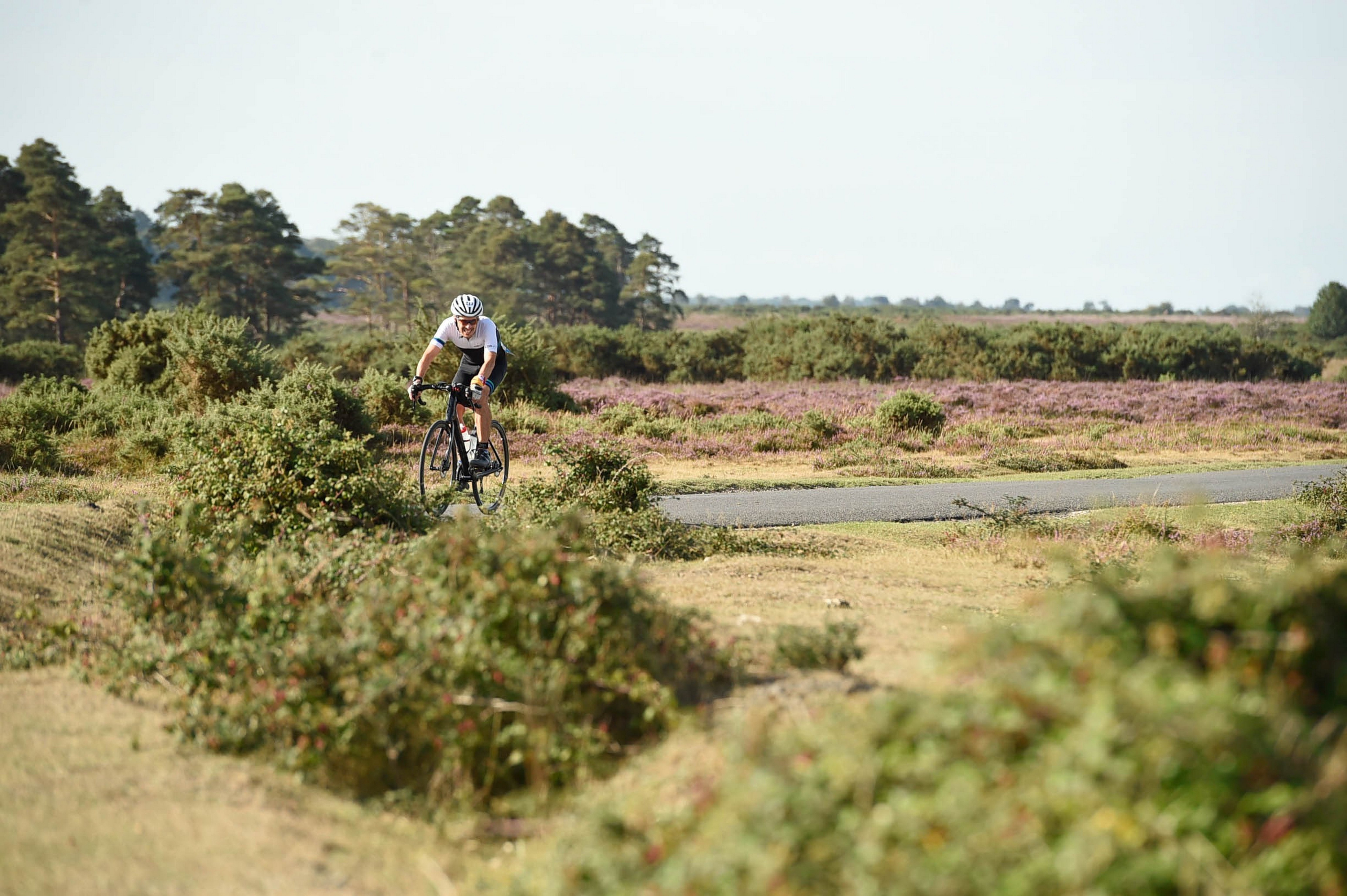 New Forest Triathlon