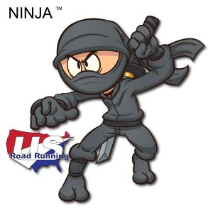 Ninja 5K, 10K & 13.1M at Naples, FL (33) Logo