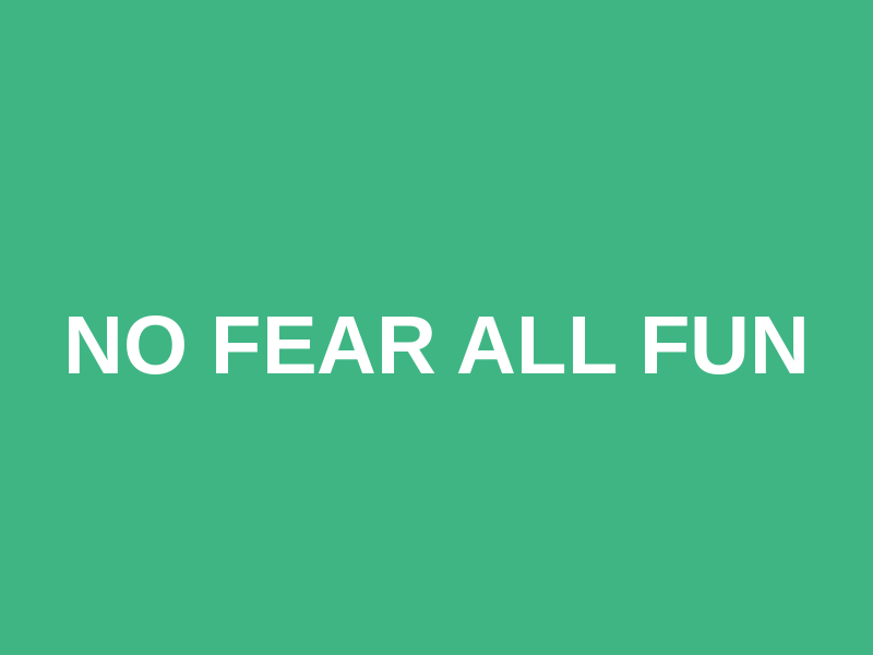 No Fear All Fun Logo