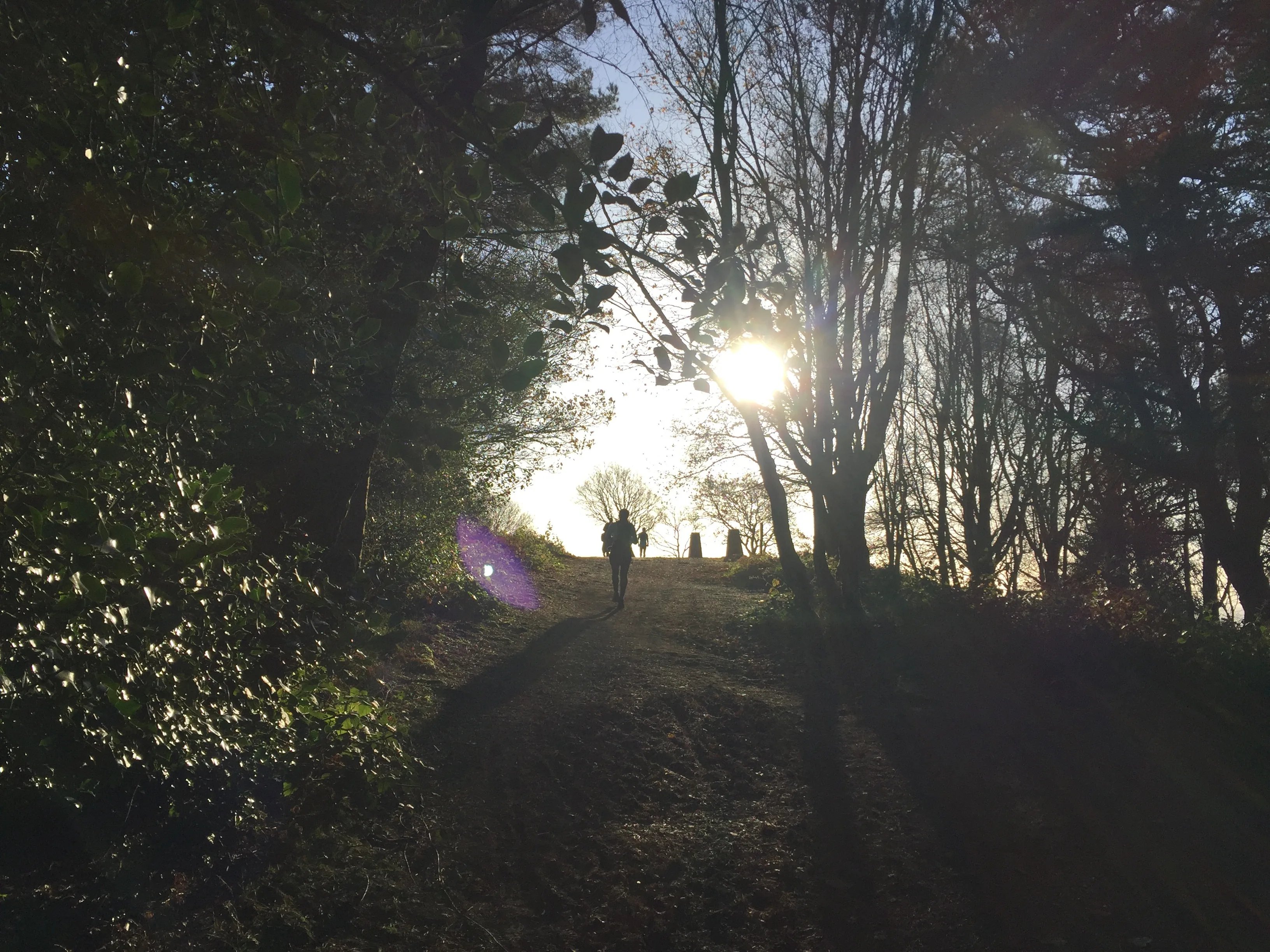 North Downs Way Ultra Run (30 miles) Logo
