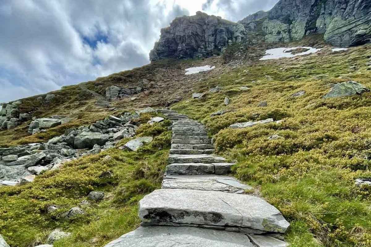 Norwegian Mountain Marathon Logo