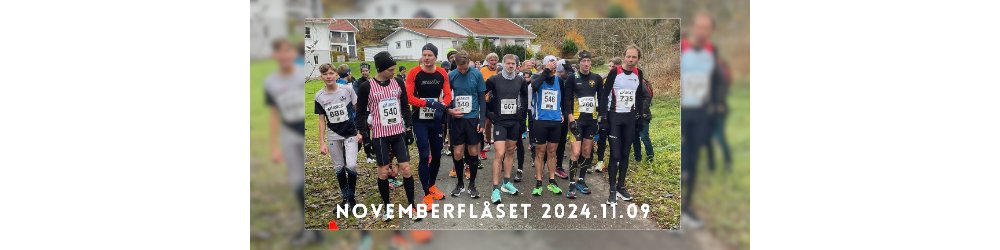Novemberflåset