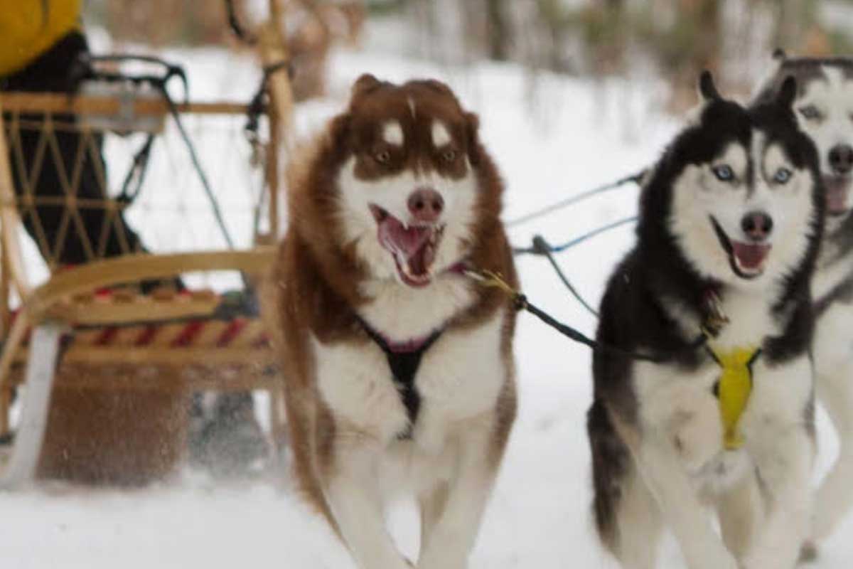 Num.2 Sweetwater Challenge - MUSH Sweetwater 2