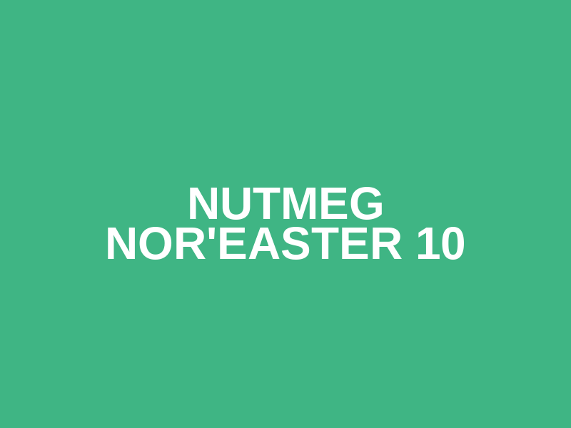 Nutmeg Nor'Easter 10 Logo