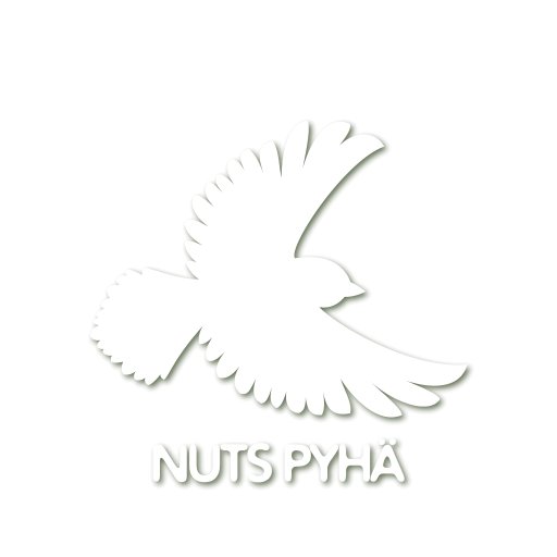 NUTS Pyhä