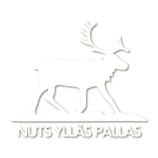 NUTS Ylläs Pallas
