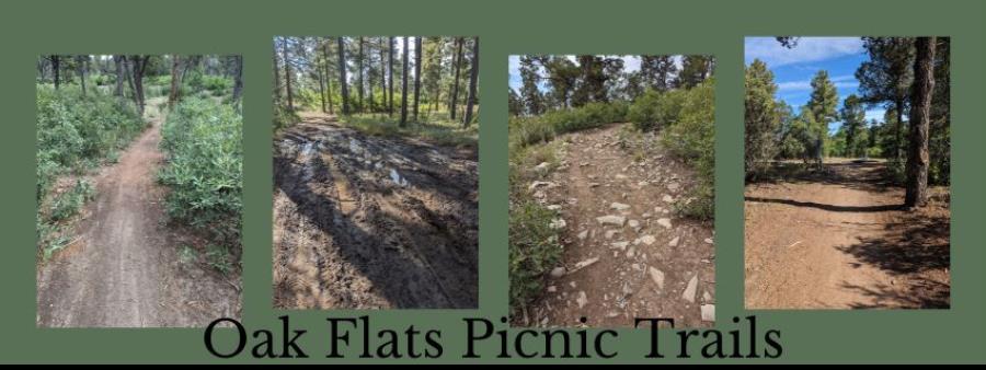 Oak Flats Picnic Trails Logo