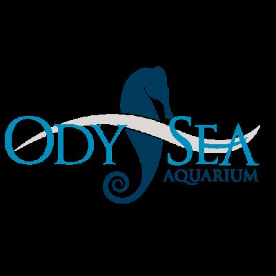 OdySea "Aquari-RUN" 5K