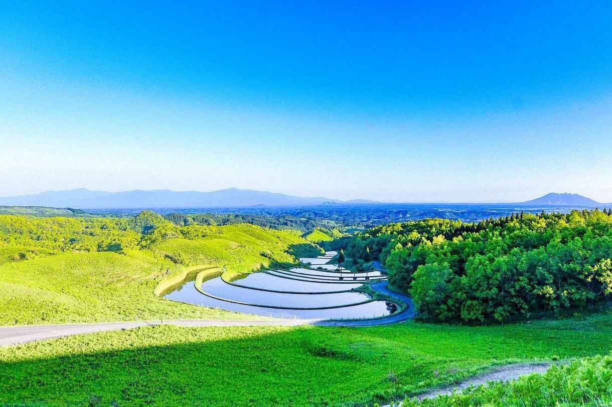 Okuhiei-Ogi Rice Terrace Trail Run Logo