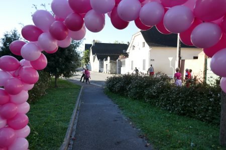 Ossun en Rose Logo
