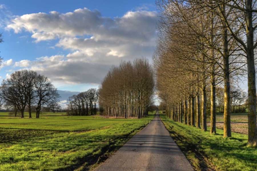 Oundle 20 Mile, 10K & 5K