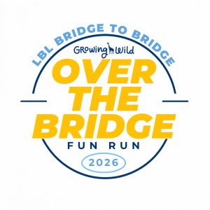 Over the Bridge Fun Run Logo