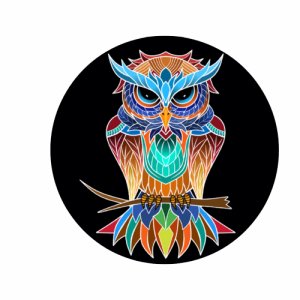 Owls Roost Rumble Logo