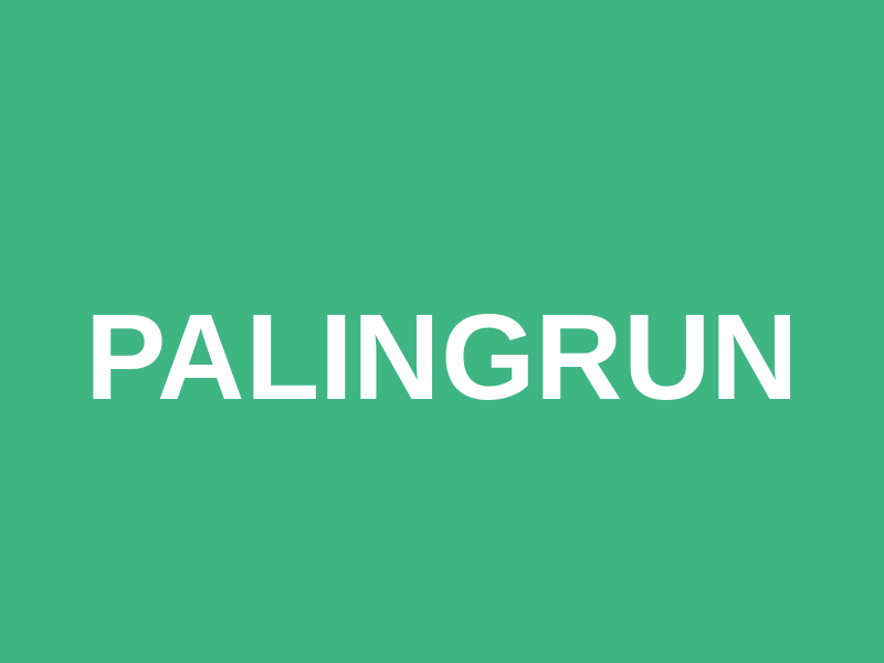 Palingrun Logo