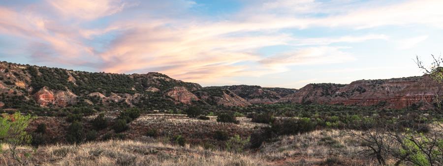 Palo Duro Trail Run Logo