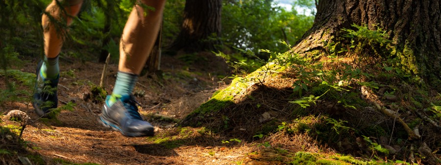 Paul Smiths Trail Running Festival Logo