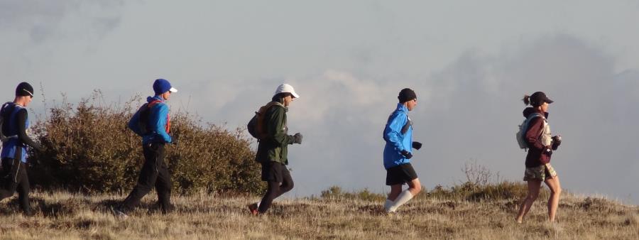 PCT50 Trail Run