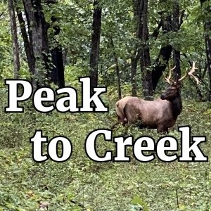 Peak to Creek Logo