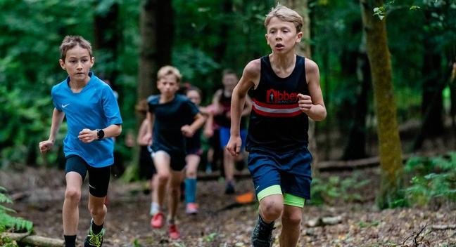 PECO XC Junior Relay 2027 Logo