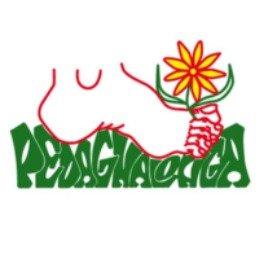 Pedagnalonga